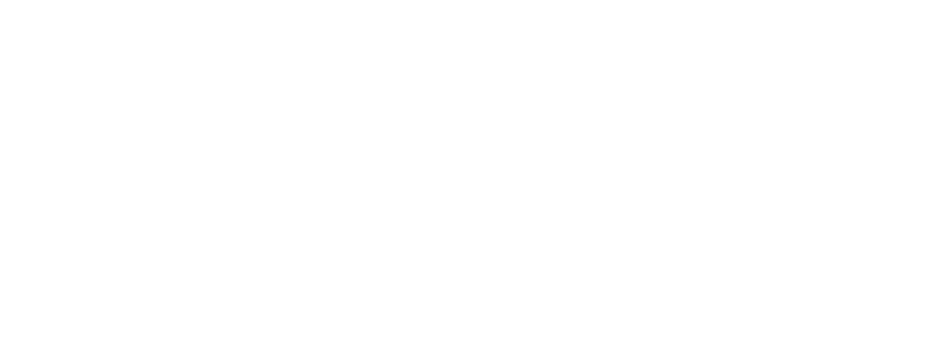 Parceiro de tecnologia